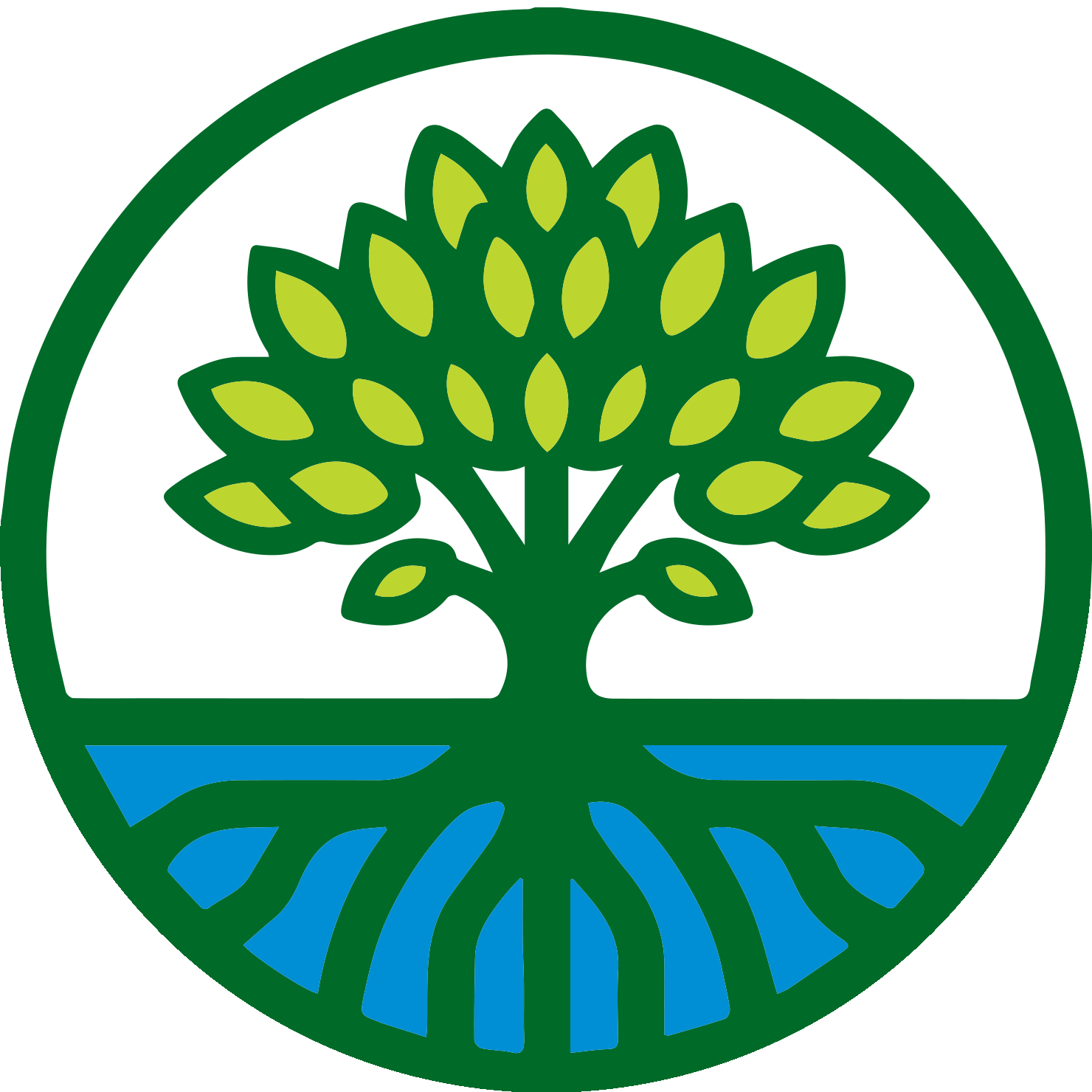 Mangrove Health
